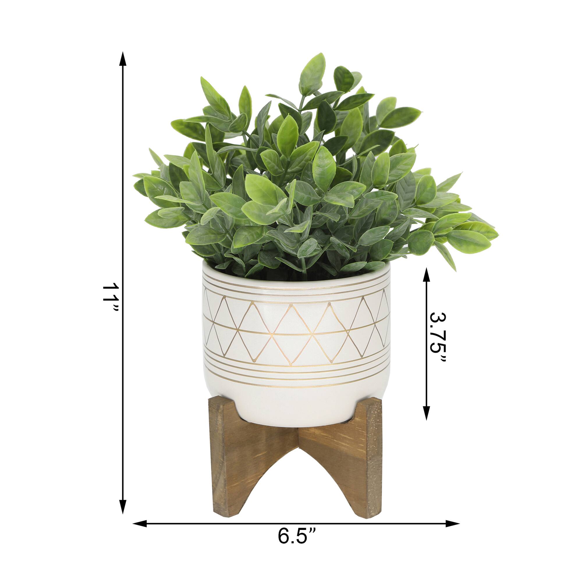 Flora Bunda® 11" Tea Plant in Geo Ceramic Footed Pot